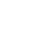 Carmine Meraviglia Logo